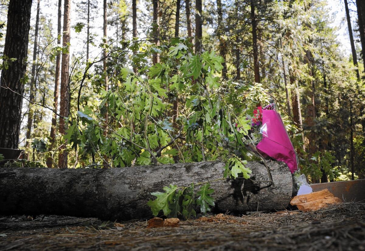 Flowers mark the site where two sleeping children were fatally crushed by a tree limb in Yosemite National Park on Aug. 14.