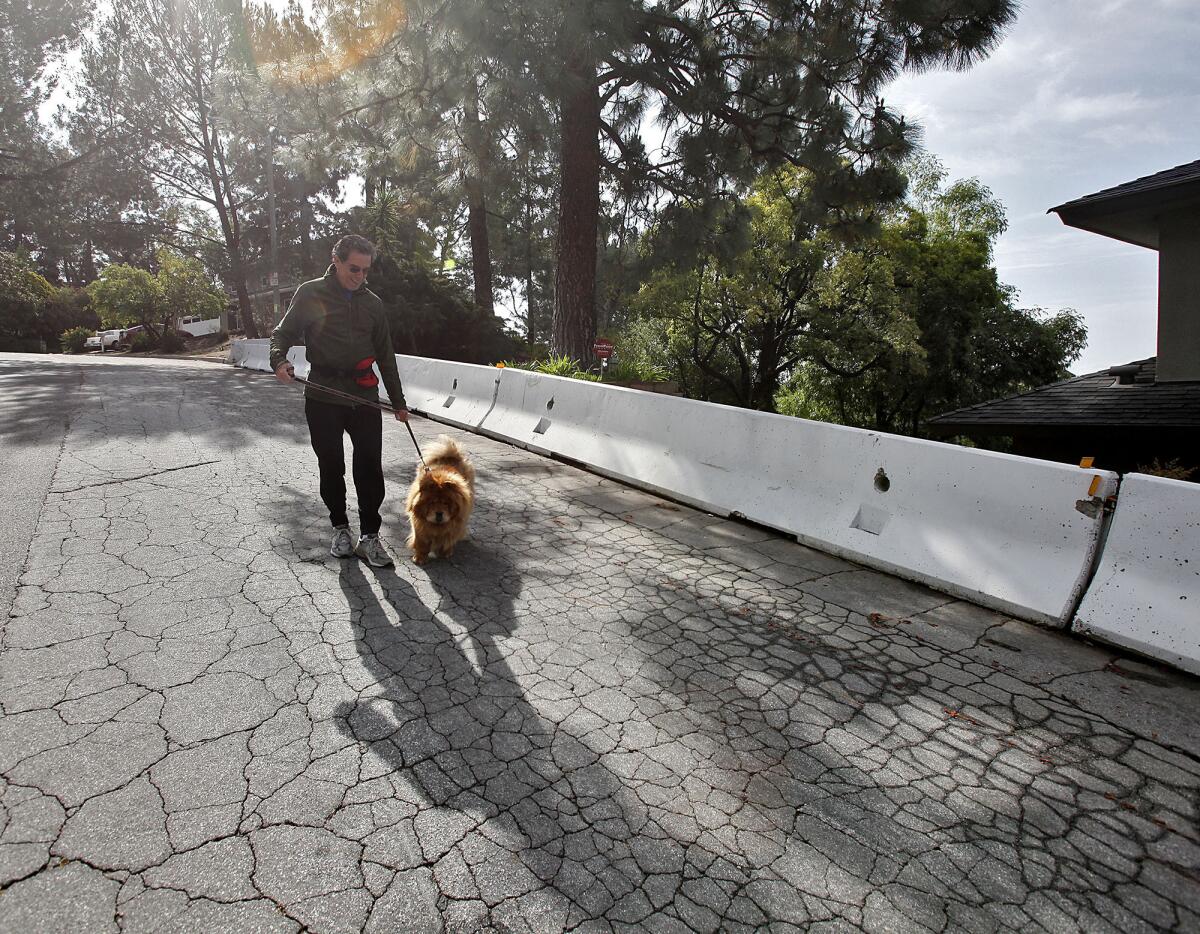 La Cañada resident Eldon Horst with his dog David, pass along k-rails near the end of Big Briar Way on Wednesday, May 8, 2013. The City Council voted on Monday, June 3, to remove the barriers that were installed on streets that interfaced with the 2009 Station fire burn area.