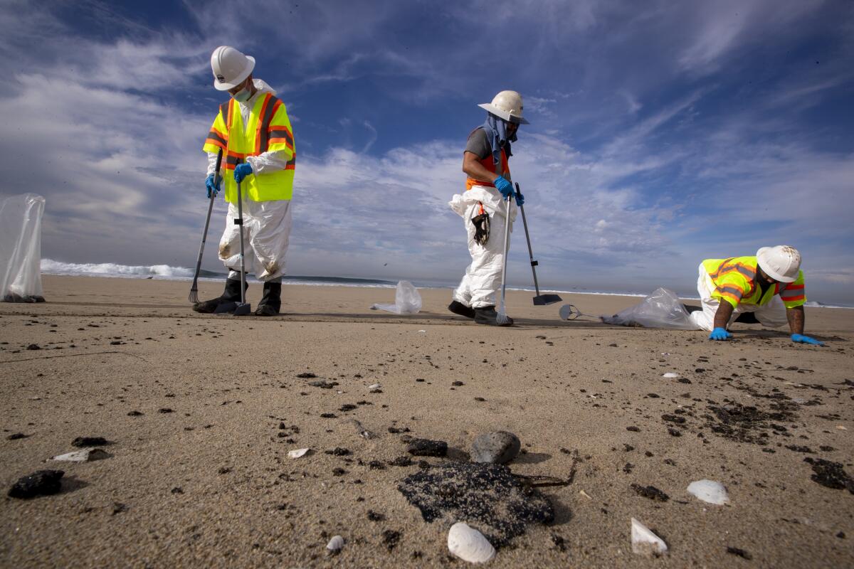 Workers in safety vests on a beach