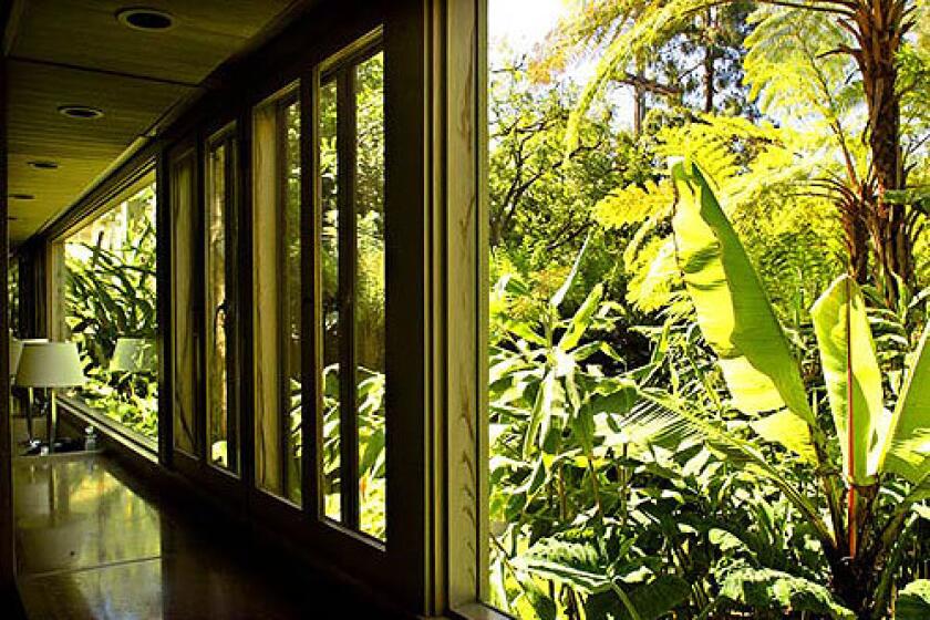 When Richard Neutra designed the redwood and brick Nesbitt house in Brentwood in 1942, he envisioned a tranquil Japanese-style front garden. Through the years the garden has evolved into a profusion of tropical plants. A banana tree dominates the view outside the master bathroom.