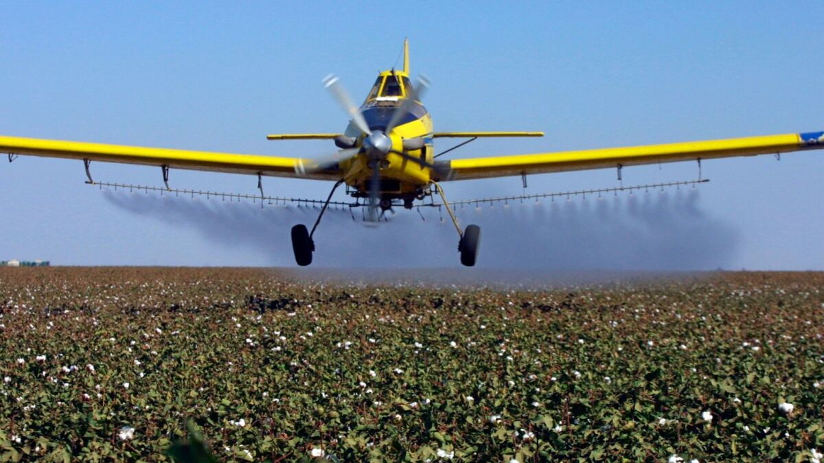 A plane releases pesticides in Lemoore, Calif., in 2001.