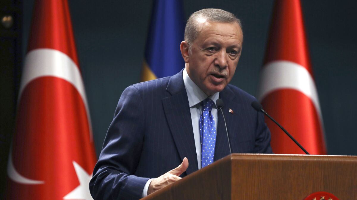 Turquía: Erdogan anuncia elecciones para el 14 de mayo - San Diego  Union-Tribune en Español