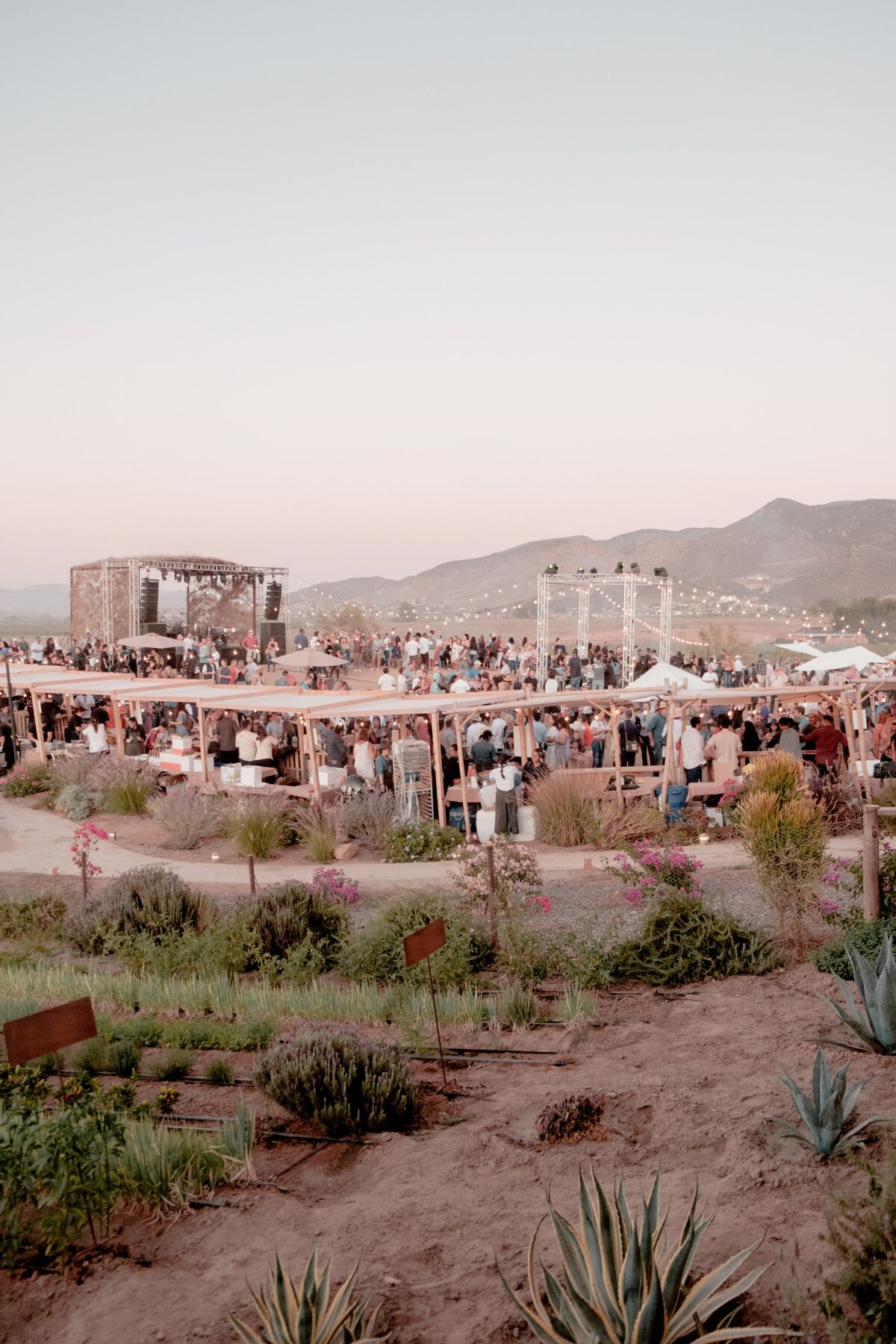 A capacity crowd at the 2019 Valle Food & Wine Festival in Baja's Valle de Guadalupe.  