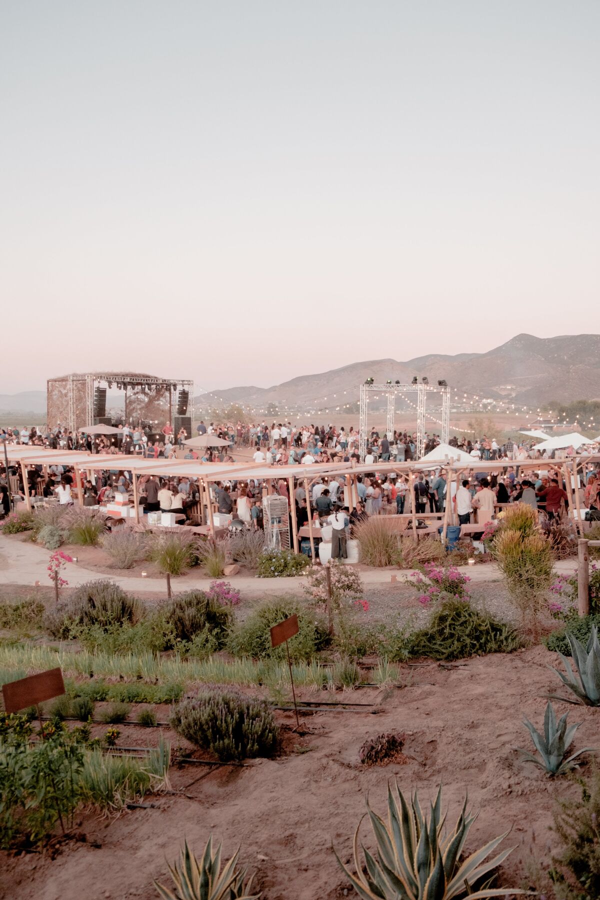 A capacity crowd at the 2019 Valle Food & Wine Festival in Baja's Valle de Guadalupe.