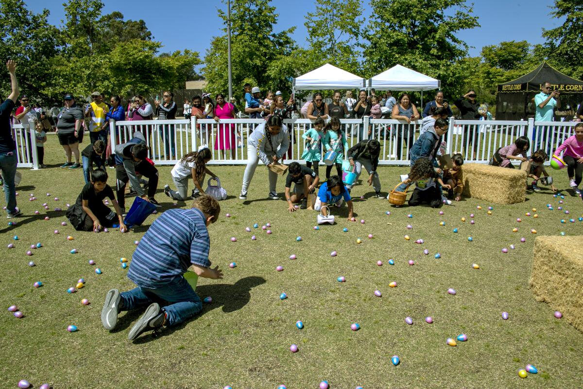 Kids scoop up plastic eggs at the "Egg Scramble" during Costa Mesa's SpringFest 2022.