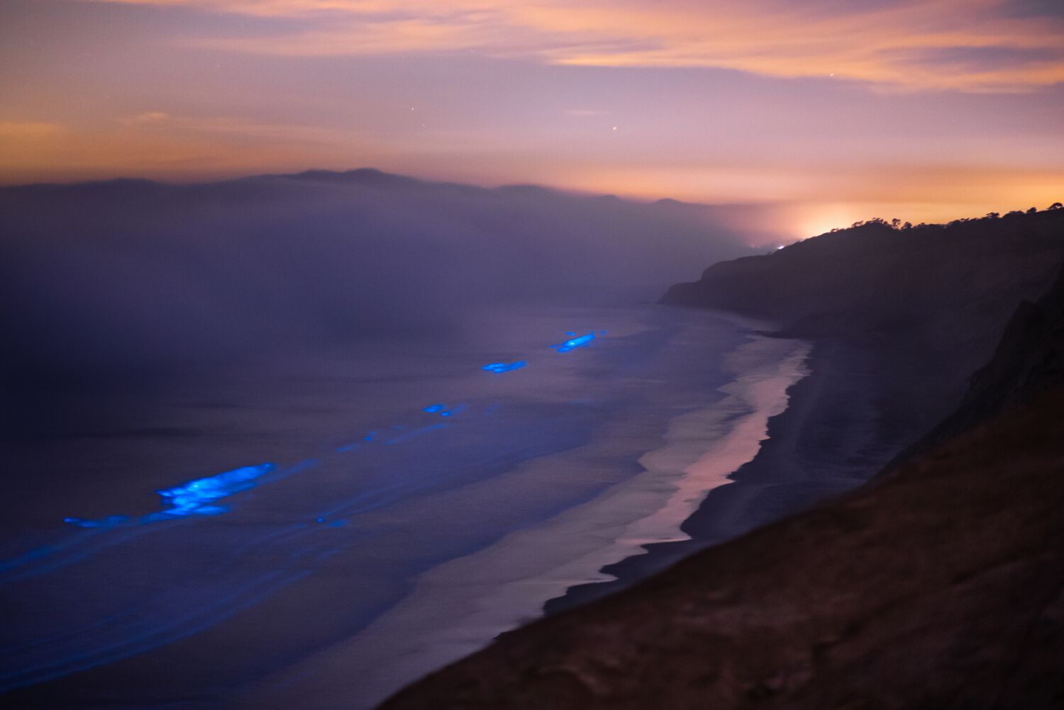 Catch Southern California's rare ocean light show like a real bioluminescence hunter  