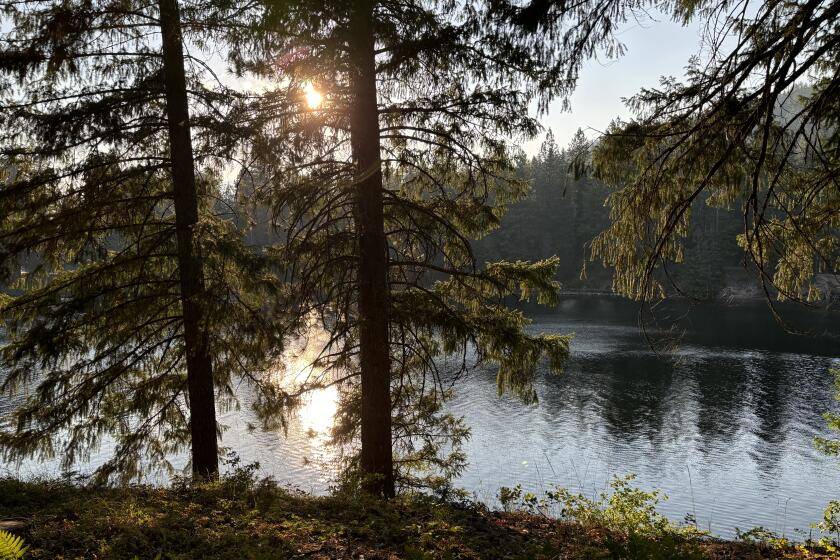 Lake Siskiyou at sunset.