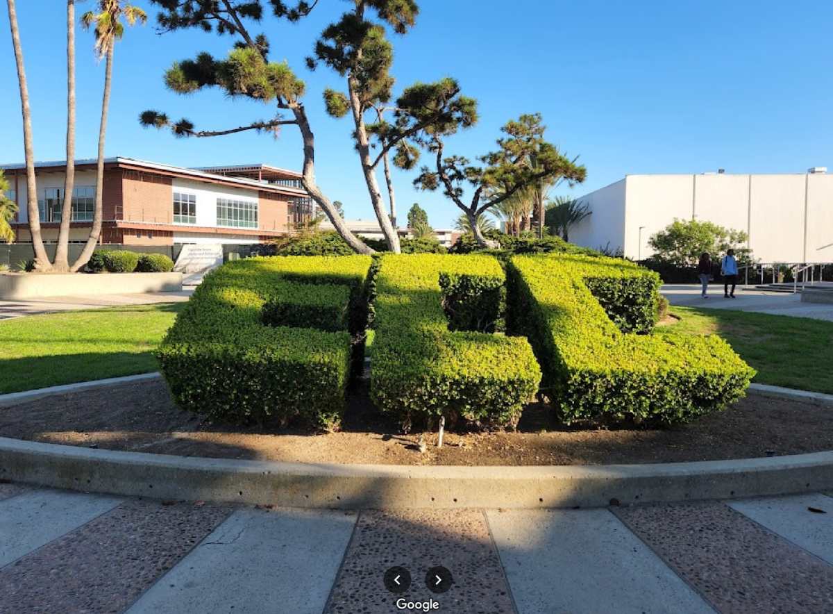 Shrubs trimmed into the initials ECC in a paved area in front of trees, a lawn and low buildings