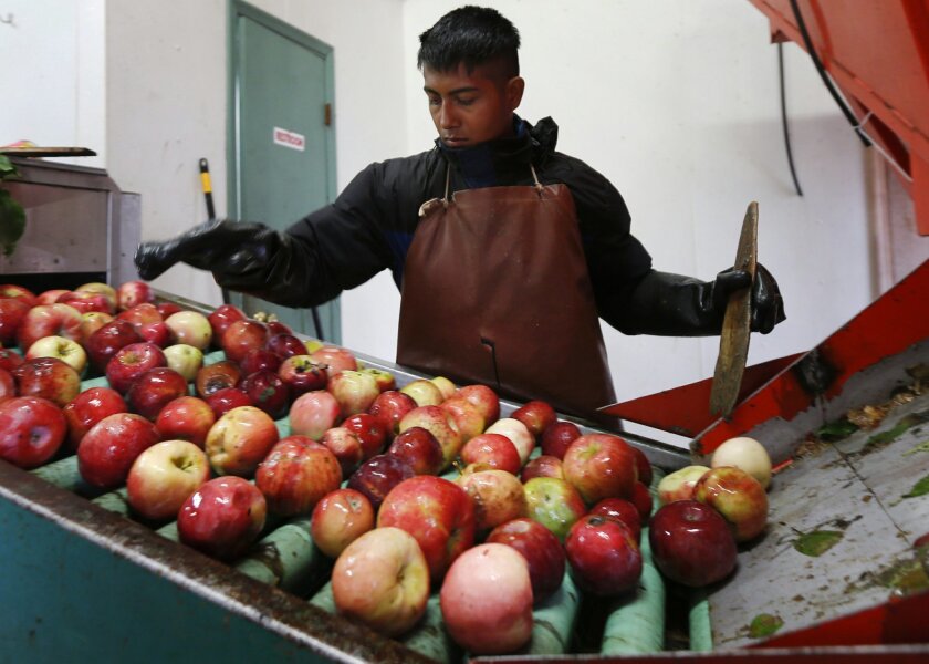 Artisanal Ciders Give Growers A New Revenue Stream The San Diego Union Tribune