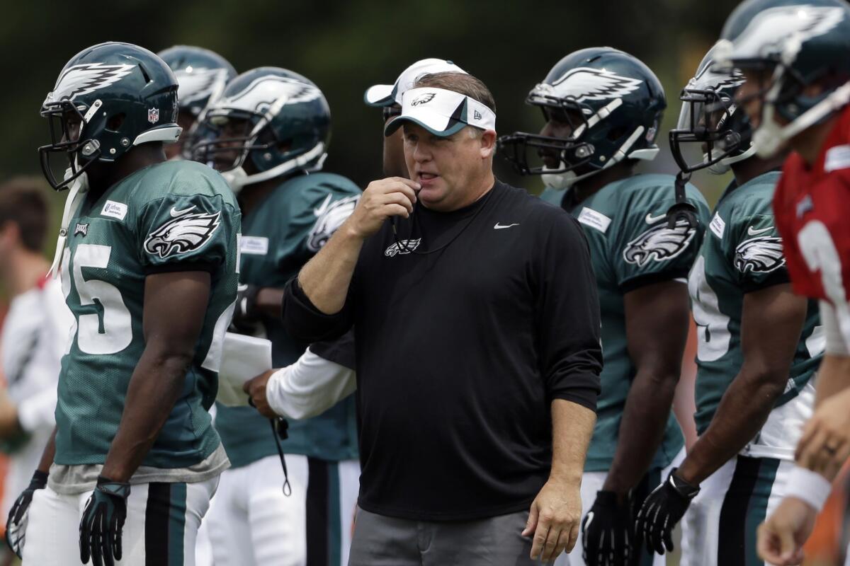 Philadelphia Eagles Coach Chip Kelly has attracted plenty of curiosity over whether he'll be able to utilize the same offensive innovations that made him a successful coach at the college level.