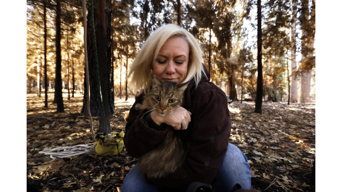 Four weeks after the Camp fire, J'Anna Alstad was finally reunited with her cat, Snickers, who was found up a tree near her burned down home in Paradise.