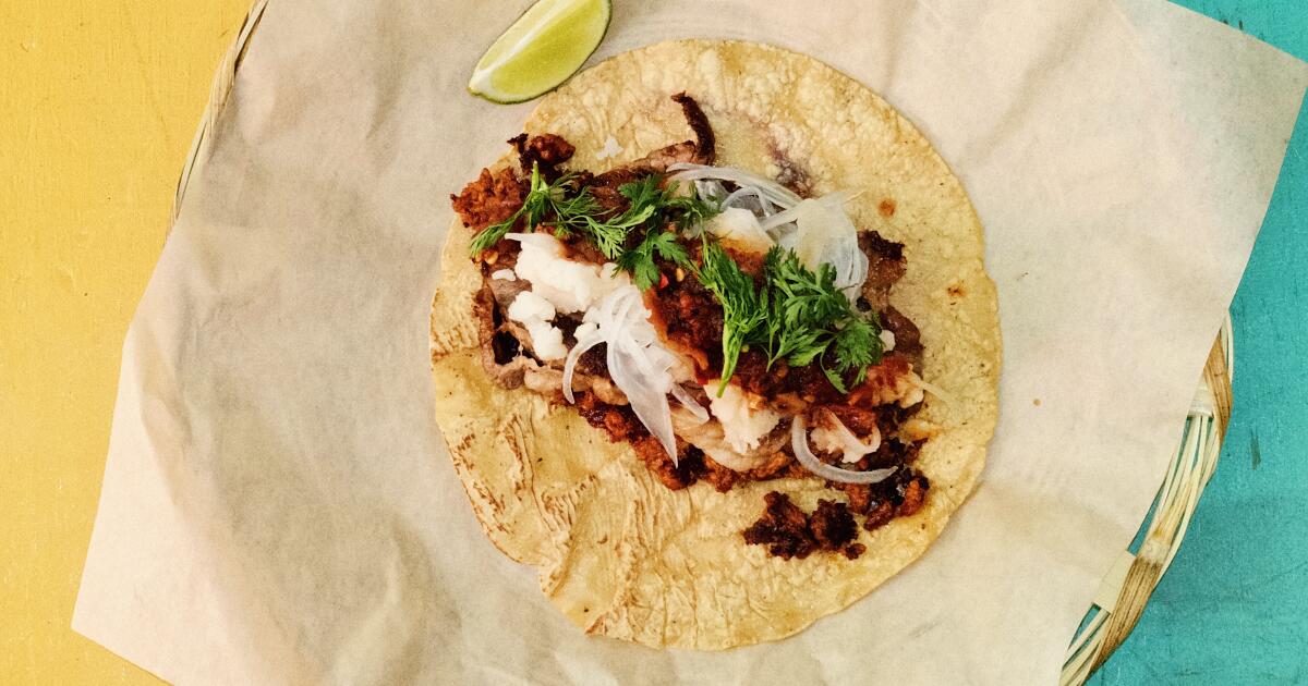 7 Must-Try Taco Recipes for a Delicious Dinner This Week! 7 Must-Try Taco Recipes for a Delicious Dinner This Week!