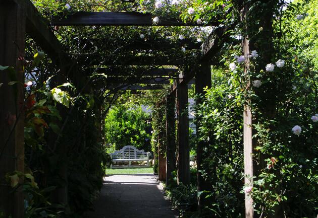 Becker and Melnik began by reinforcing the original redwood pergola with steel plates and augmenting the existing Cecile Brunner roses, planted circa 1913, with eight new plants along the edges of the pergola "to make everything even rosier," Becker says. Visitors can't tell the difference between the old and new plants "unless they look down and see the 2-foot-diameter root balls that look every bit of their 100 years."