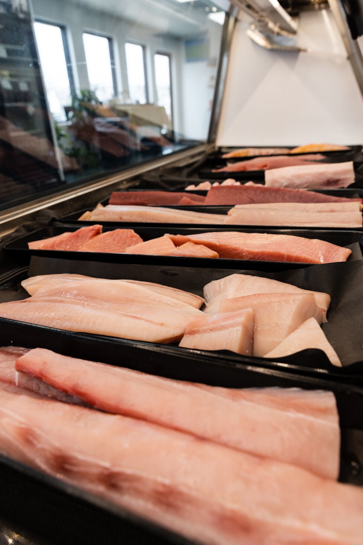 Locally caught fish fillets are on display at TunaVille Market and Grocery.