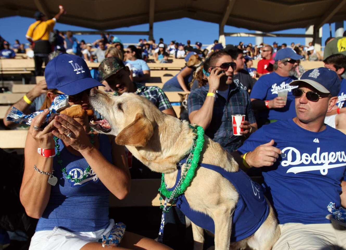 On this day, Dodger Stadium goes to the dogs Los Angeles Times