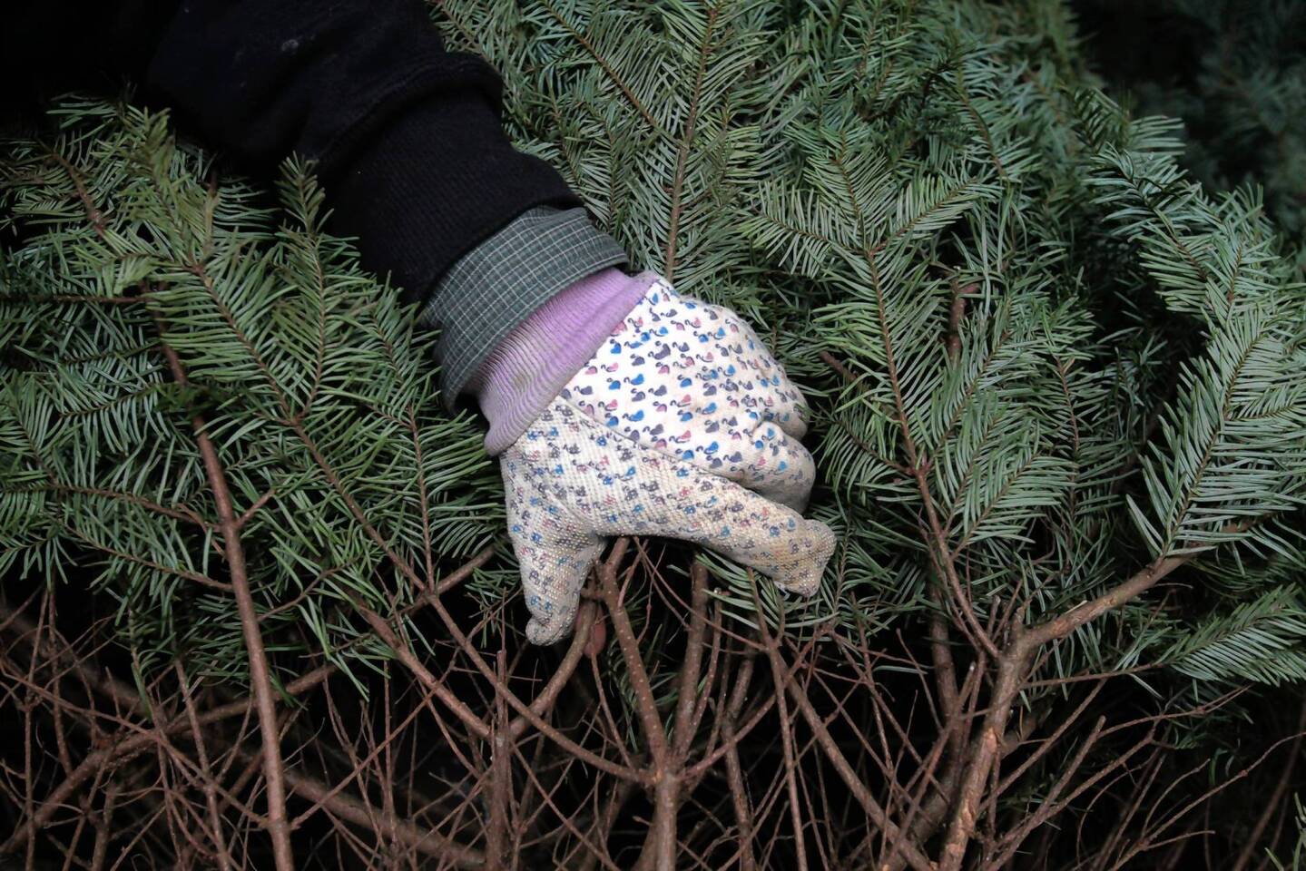 Christmas tree gloves