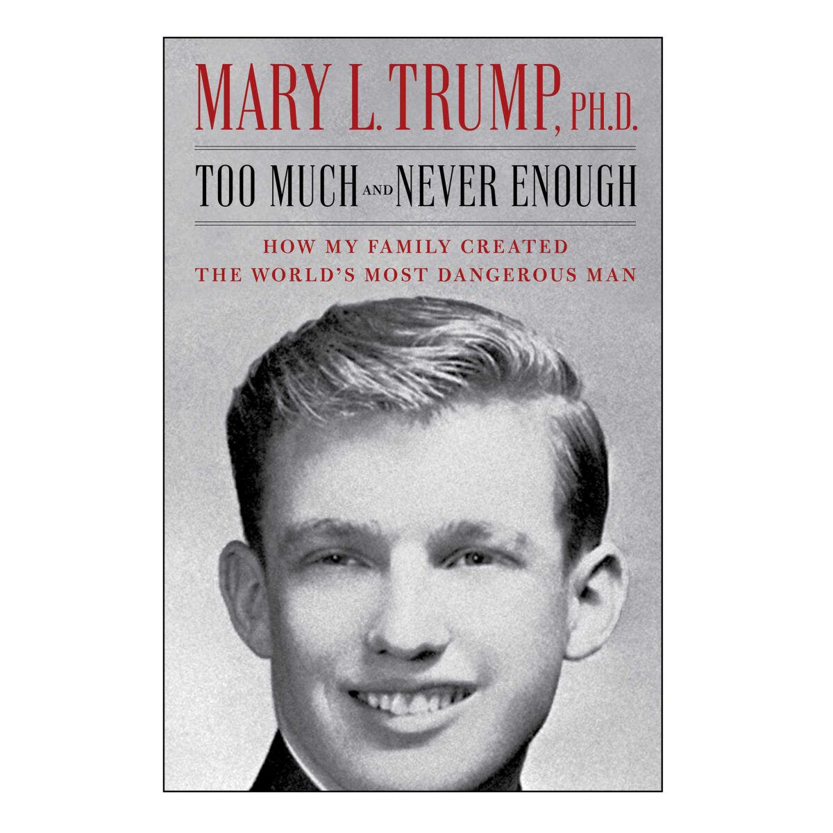 HOLIDAY GIFT GUIDE - Cover of the book Too Much and Never Enough by Mary L. Trump.