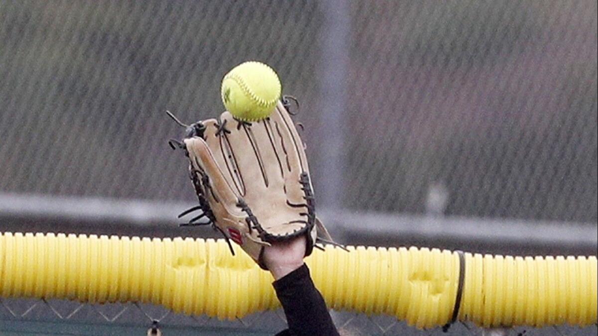 High school softball scores