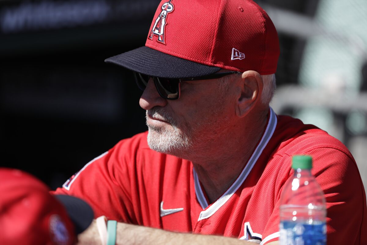 Angels manager Joe Maddon looks on before a spring training game against the Dodgers on Feb. 26 in Glendale, Ariz.