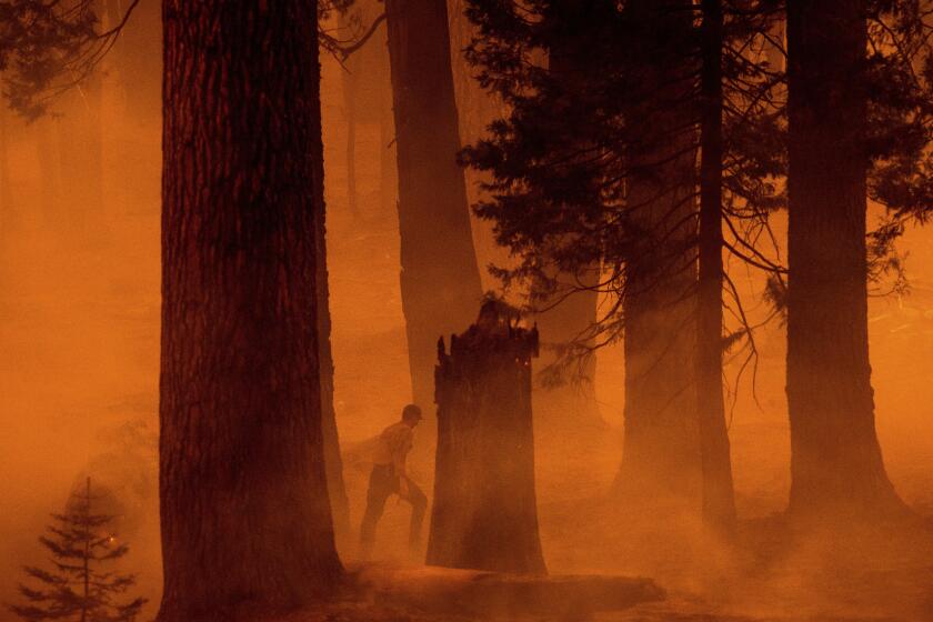 A firefighter walks through haze as the Park Fire burns near the Mineral community of Tehama County, Calif. on Wednesday, Aug. 7, 2024 (AP Photo/Noah Berger)