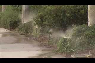 California water use drops, report says