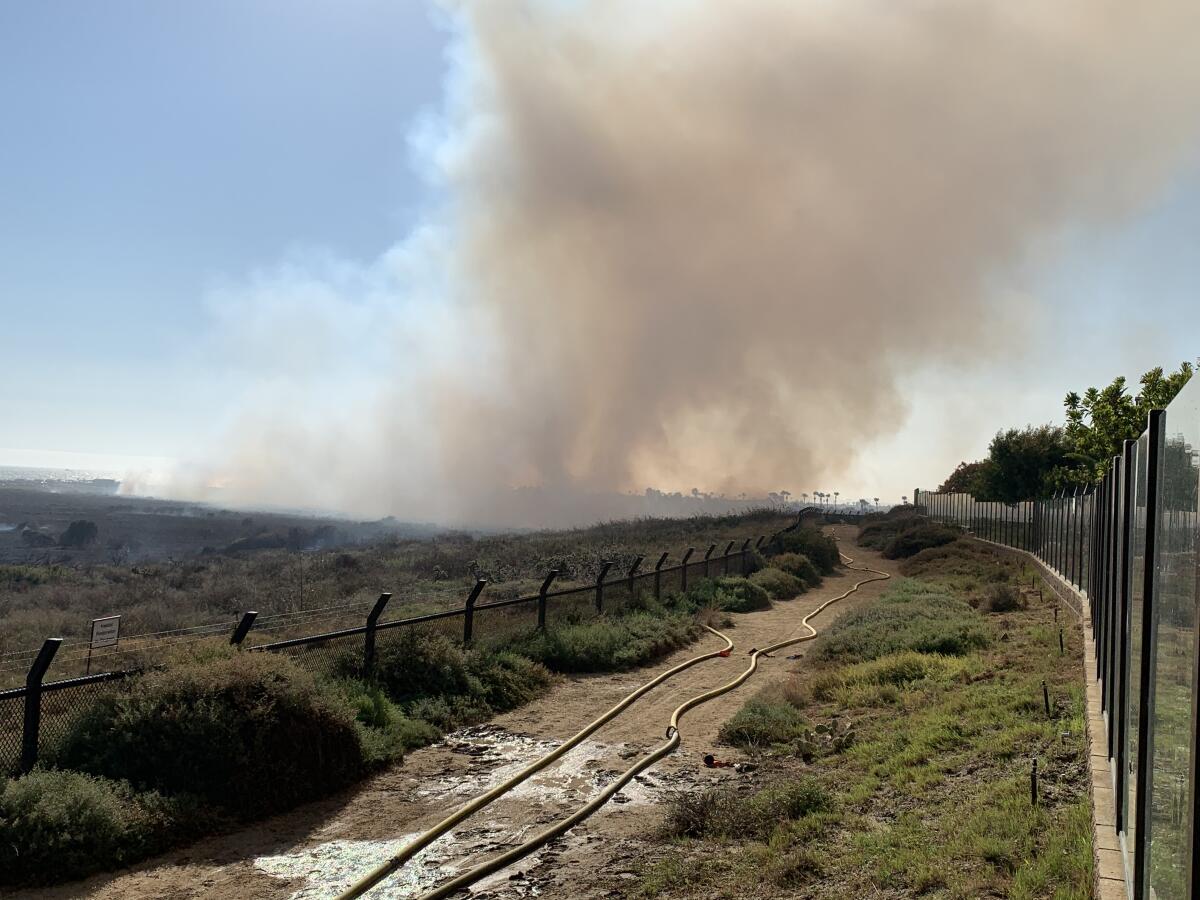 A small brush fire in the Bolsa Chica wetlands