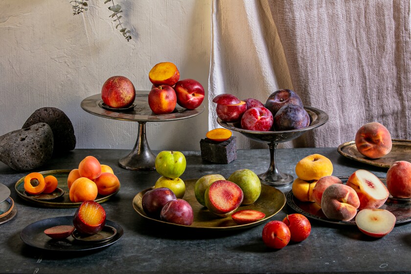 Plates and platters of stone fruit: peaches, nectarines, plums, apricots.