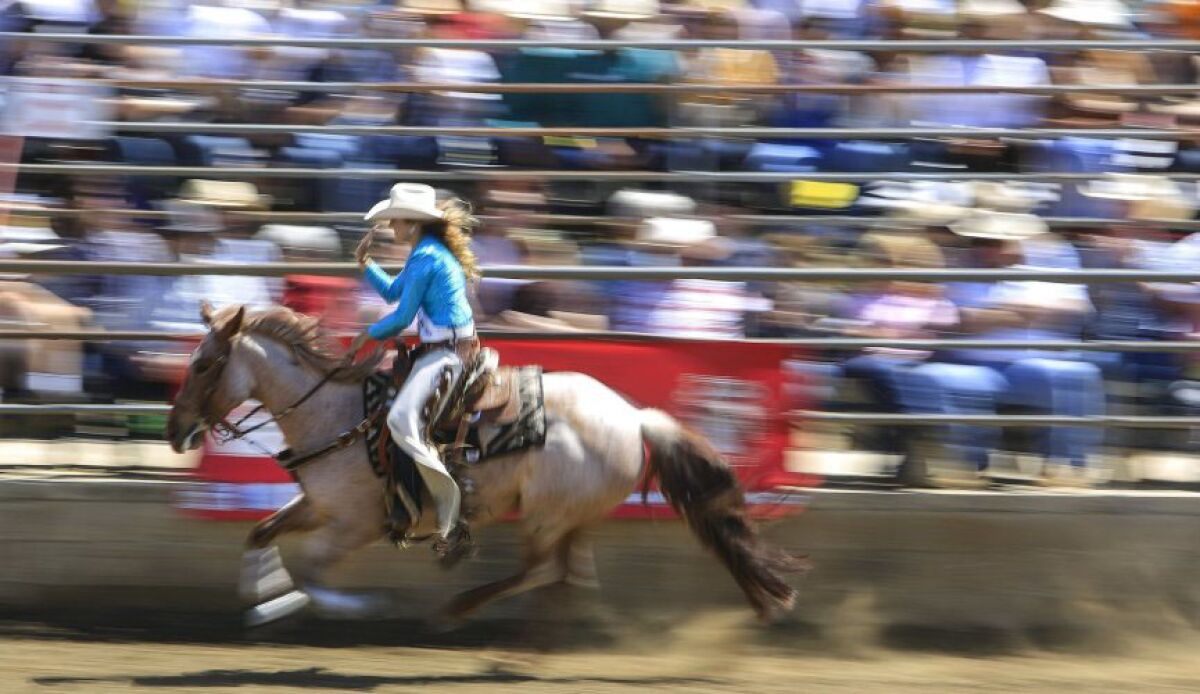 A rider at the Lakeside Rodeo.