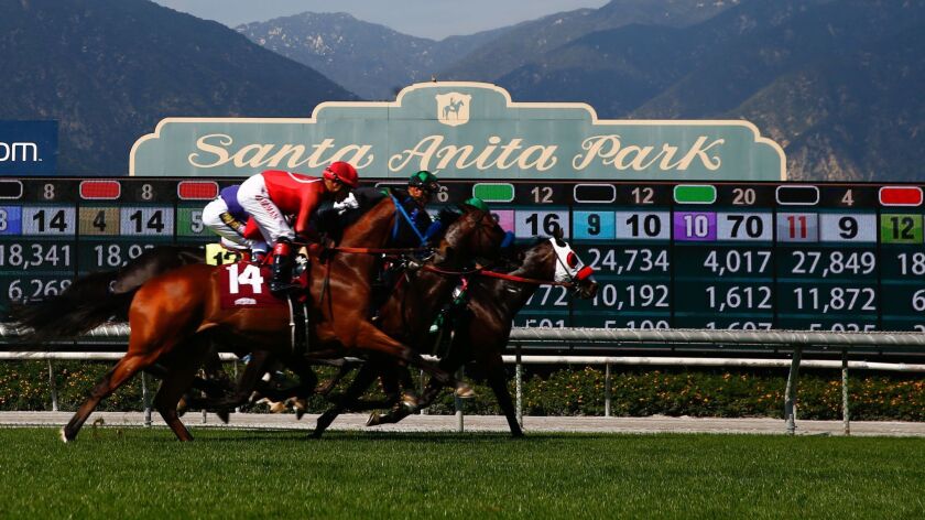 Horses race in the Providencia Stakes at Santa Anita Park on April 6.