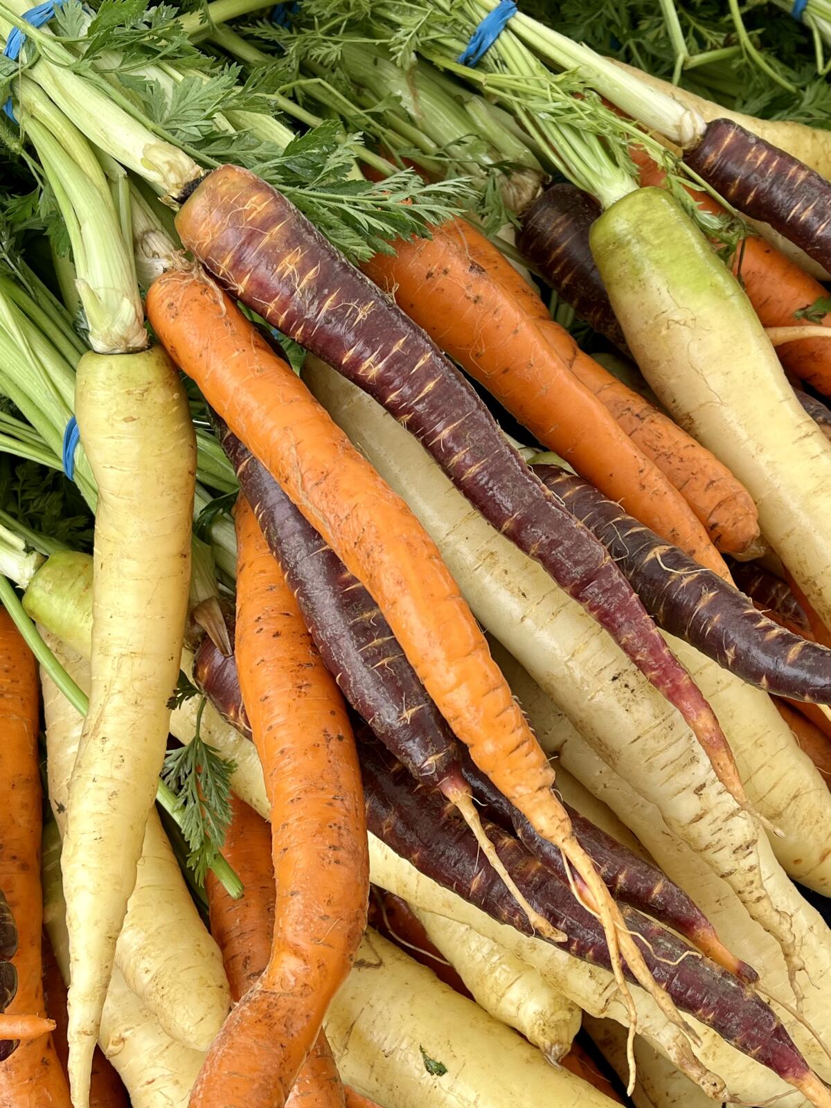 Heirloom carrots at the farmers market at the District at Tustin Legacy.
