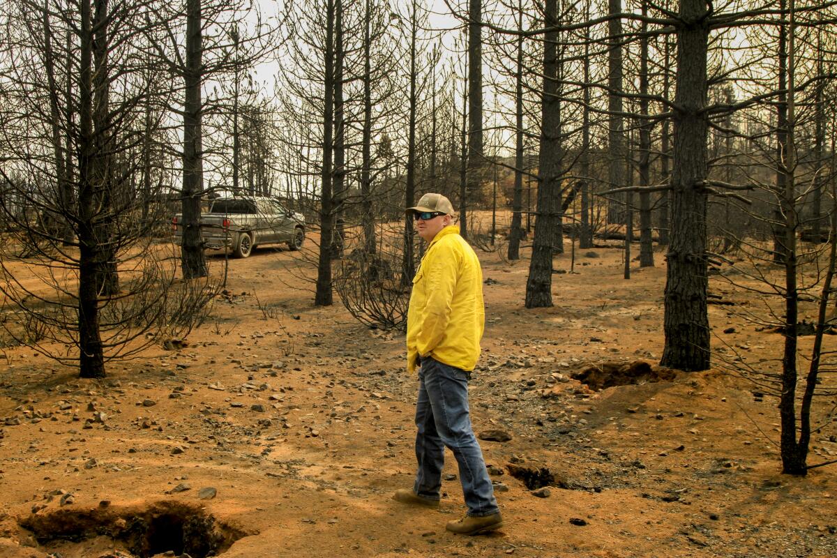 A man walks among burned trees and bare ground.