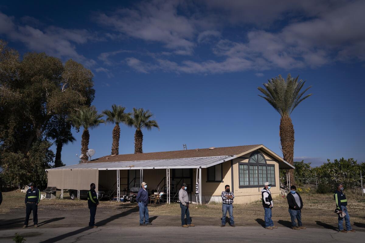 ARCHIVO - Trabajadores agrícolas hacen cola en Tudor Ranch en La Mecca, California