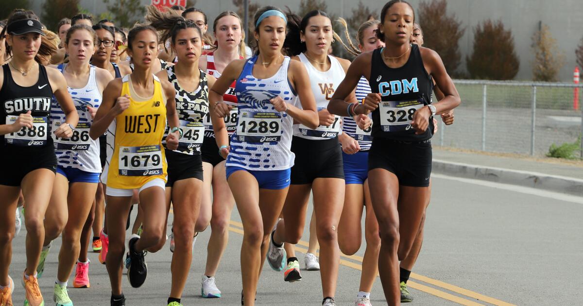 Local duo take home titles in CIF crosscountry finals Los Angeles Times