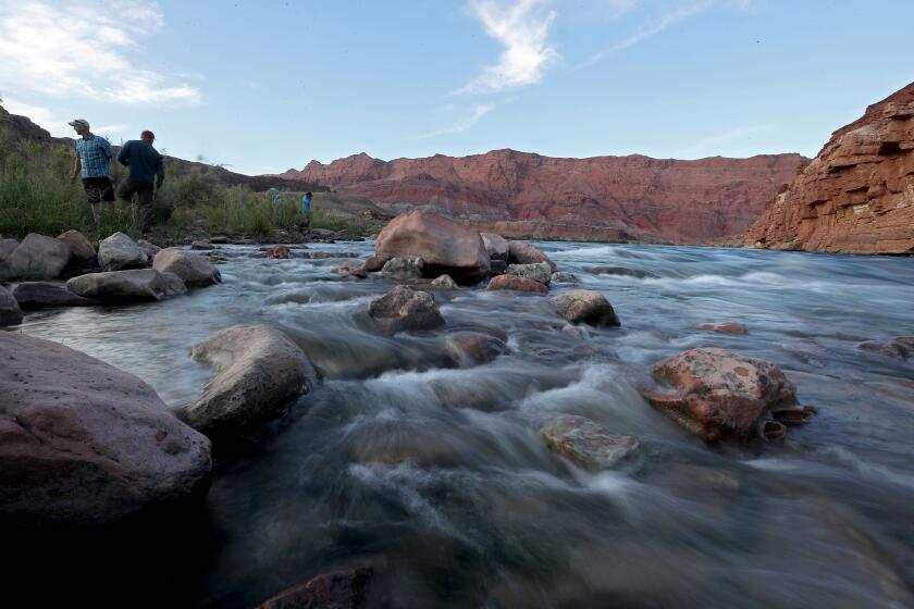 LEE'S FERRY, ARIZONA - MAY 16, 2022. The Colorado River flows over rocks along its banks at Lee's Ferry, a narrow stretch that marks the divide between the river's upper and lower basins. Measurements of Colorado River water flowing through Lee's Ferry are used to factor water allocations to the seven U.S. and two Mexican states in the entire Colorado River Basin. (Luis Sinco / Los Angeles Times)