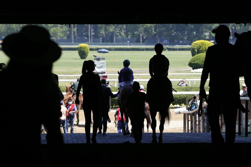 Thoroughbreds are guided onto the track for the first race of the day before the 153rd running of the Belmont Stakes