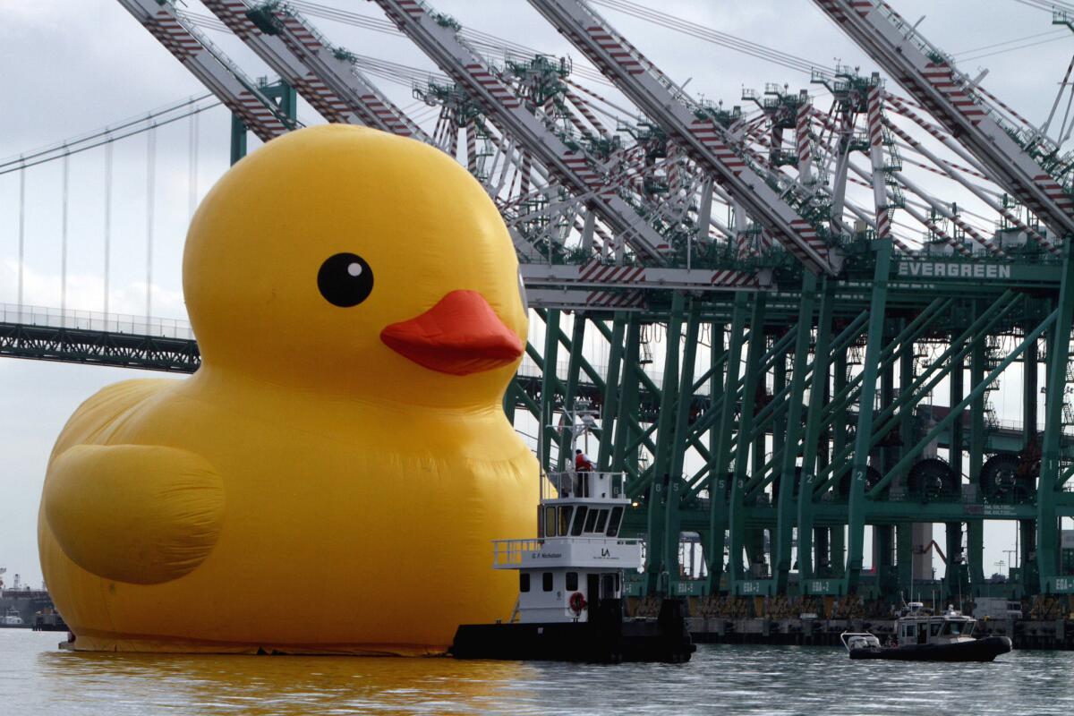 The big Rubber Duck art project made an appearance at L.A.'s waterfront Wednesday morning before the parade.