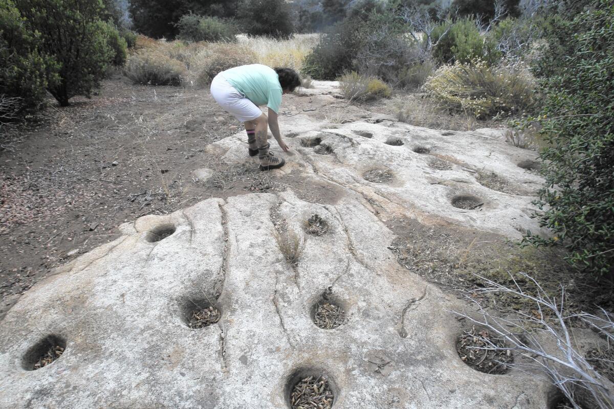 State parks archaeologist Robin Connors inspects a grinding hole at a village site in Cuyamaca Rancho State Park, where looting has been discovered.