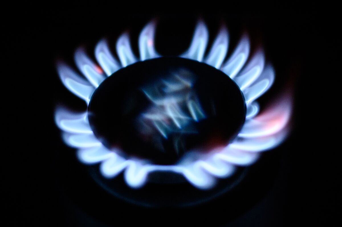 A gas flame on a domestic cooker in England. 
