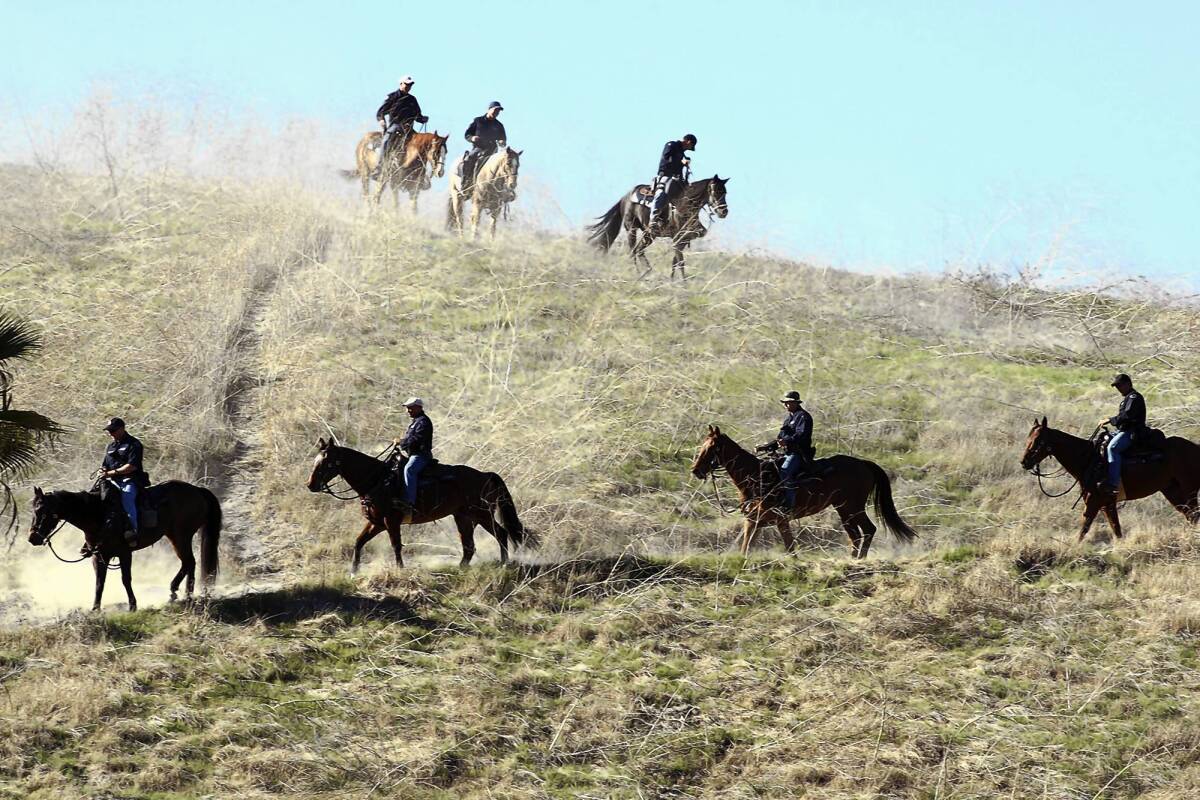 Members of the Los Angeles Police Department's mounted platoon descend after searching a hillside behind the El Sereno Recreation Center in the El Sereno area of Los Angeles.