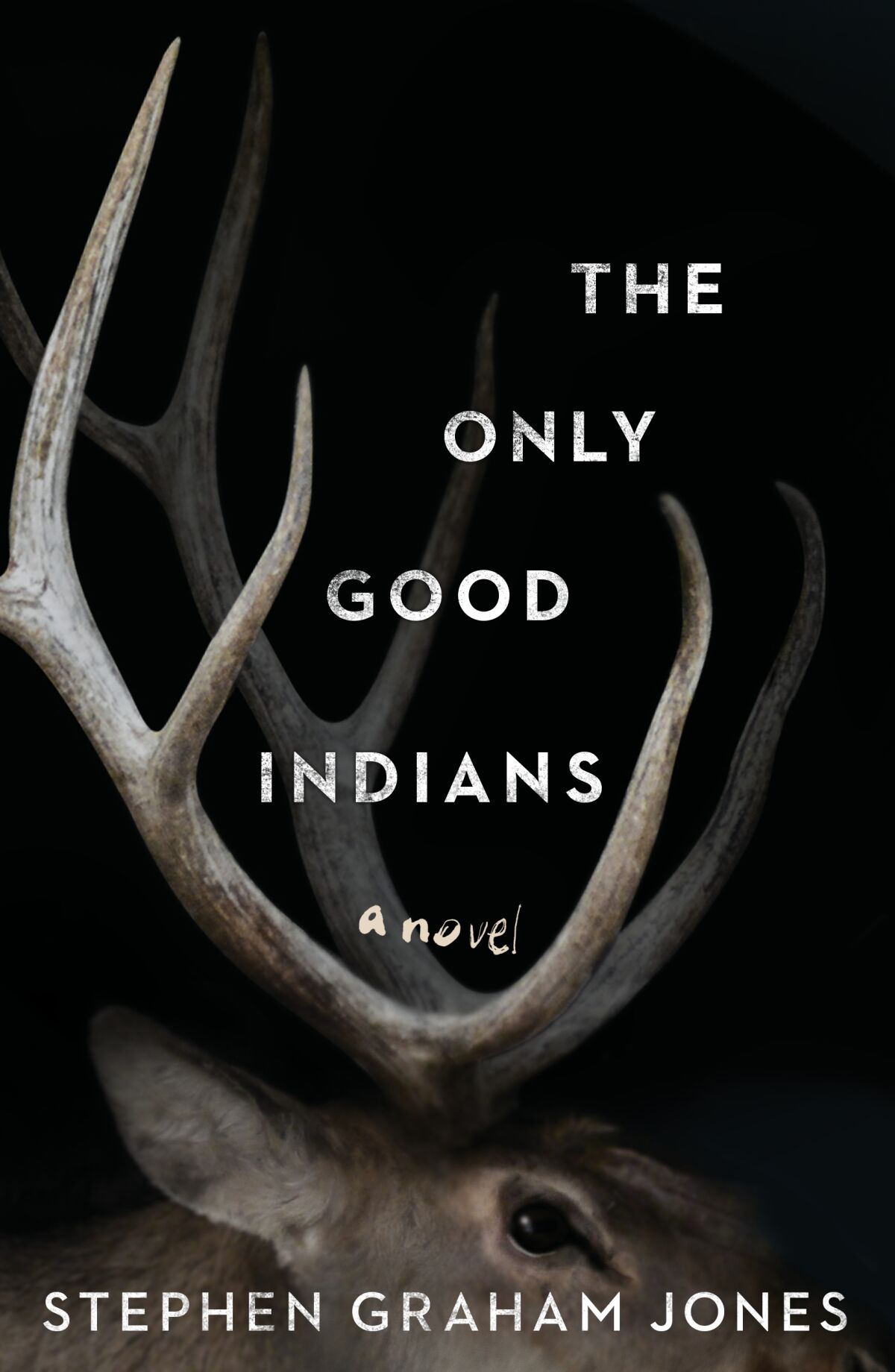 Prominent antlers atop the head of an elk on a black background of a book cover
