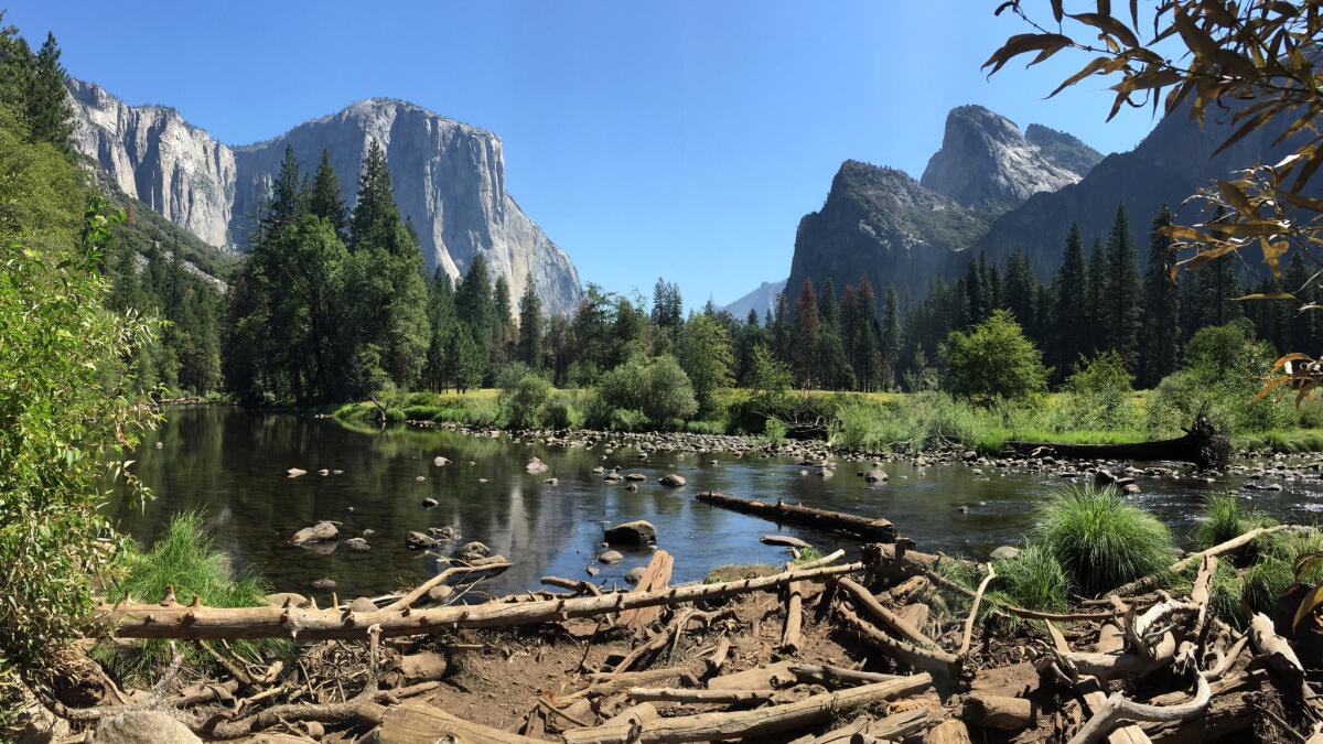 Willing to spend a few extra dollars on gas this year? Yosemite has some reservations available.