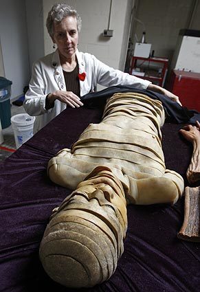 Ann Harmer, co-director of the Plastination Lab at Orange Coast College, uncovers "Bernadette," a 23-year-old female body preserved with a polymer like those used in Body Worlds 3, now on display at the California Science Center in Los Angeles. The 42 sections reveal the internal structure of the head and torso.