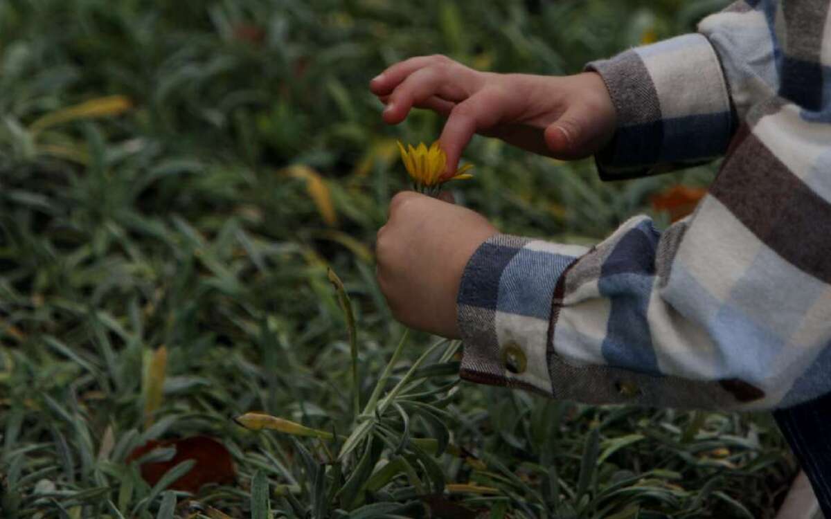 A blood pressure drug may offer hopes of reversing hyperactive brain cell firing among those with autism spectrum disorder, a study in mice found. Here, a child with autism spectrum disorder touches a flower during a therapy session in 2011.