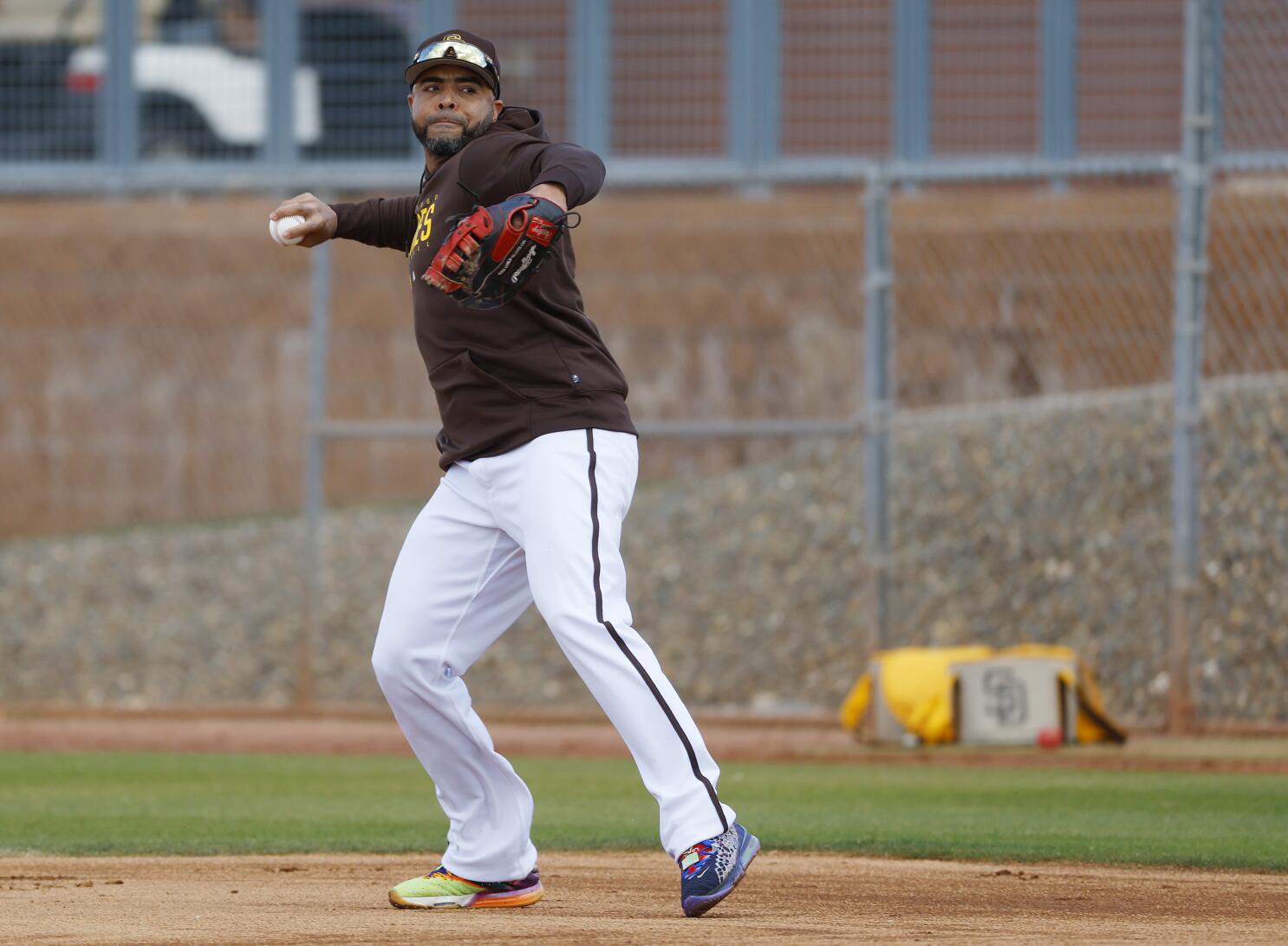 World Baseball Classic: Nelson Cruz Is Dominican Republic's General Manager  - The New York Times