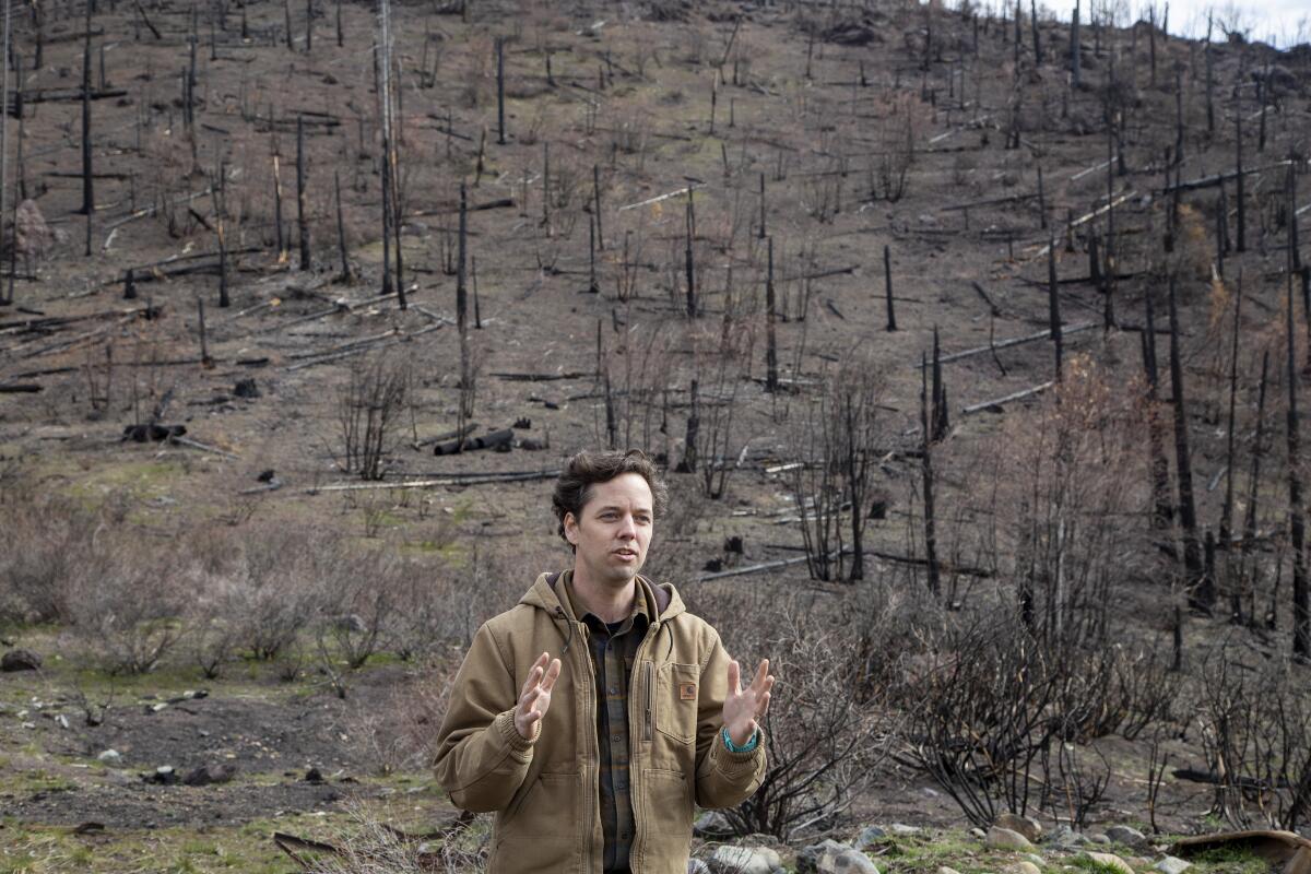 A man stands before a charred hillside