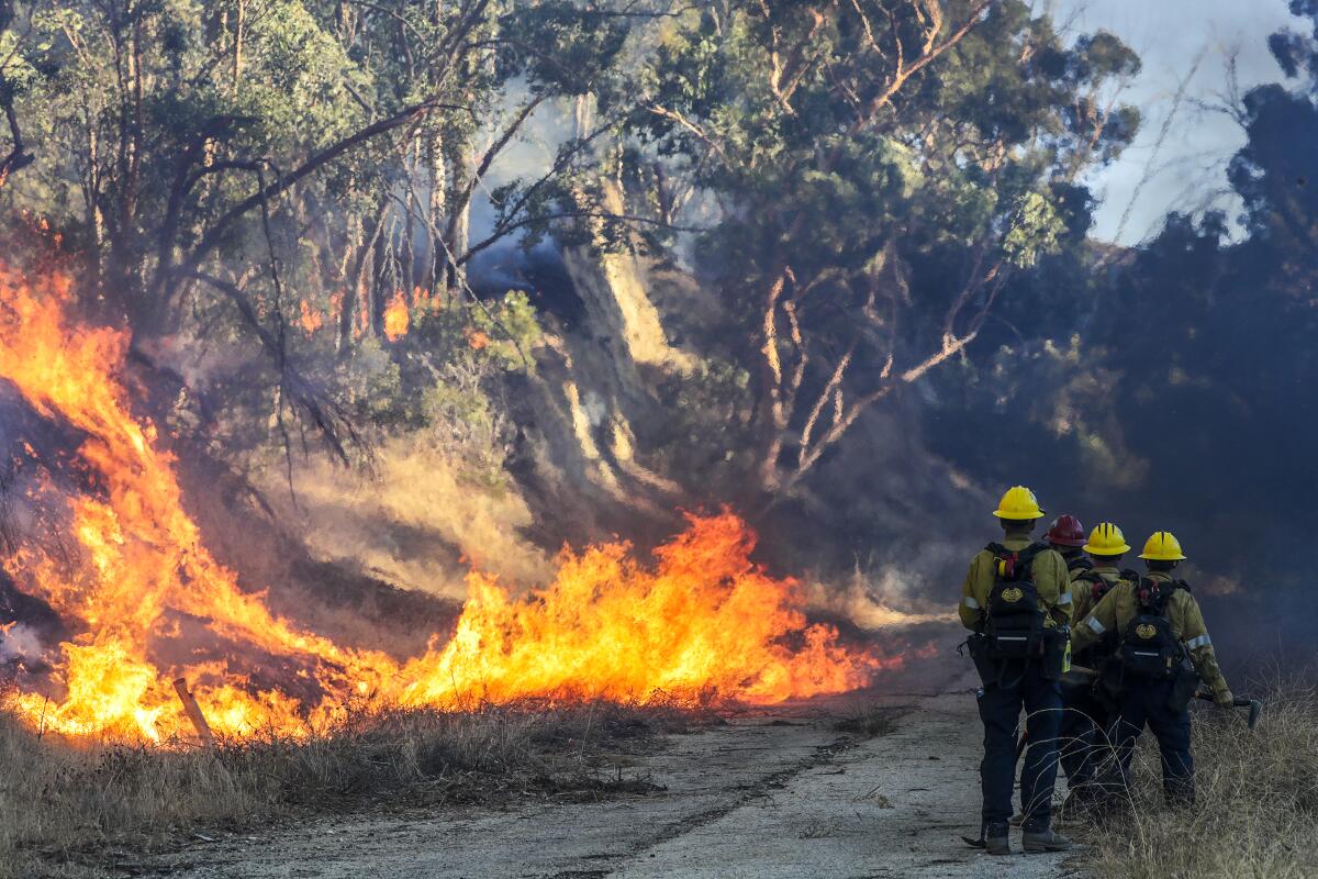 Firefighters keep an eye on flames burning behind Olive View-UCLA Medical Center in Sylmar on Friday.