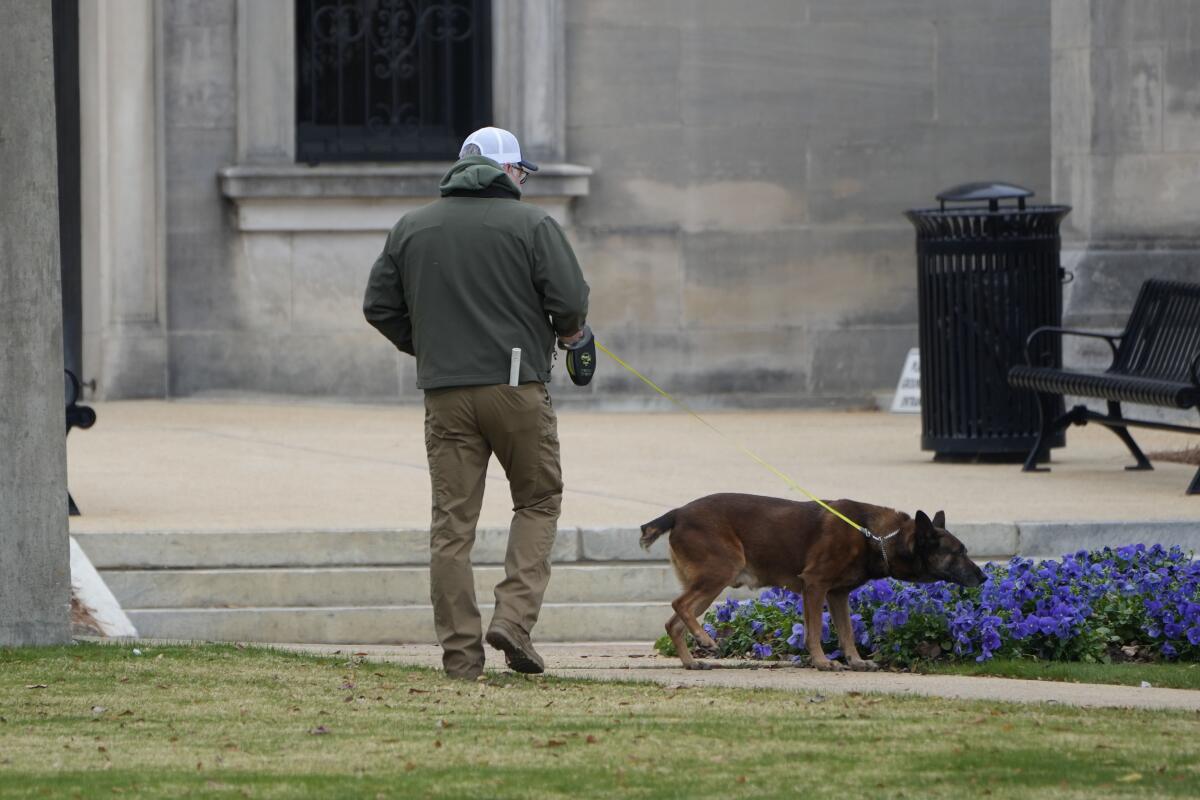 An ordnance-sniffing dog patrols the Mississippi State Capitol grounds.