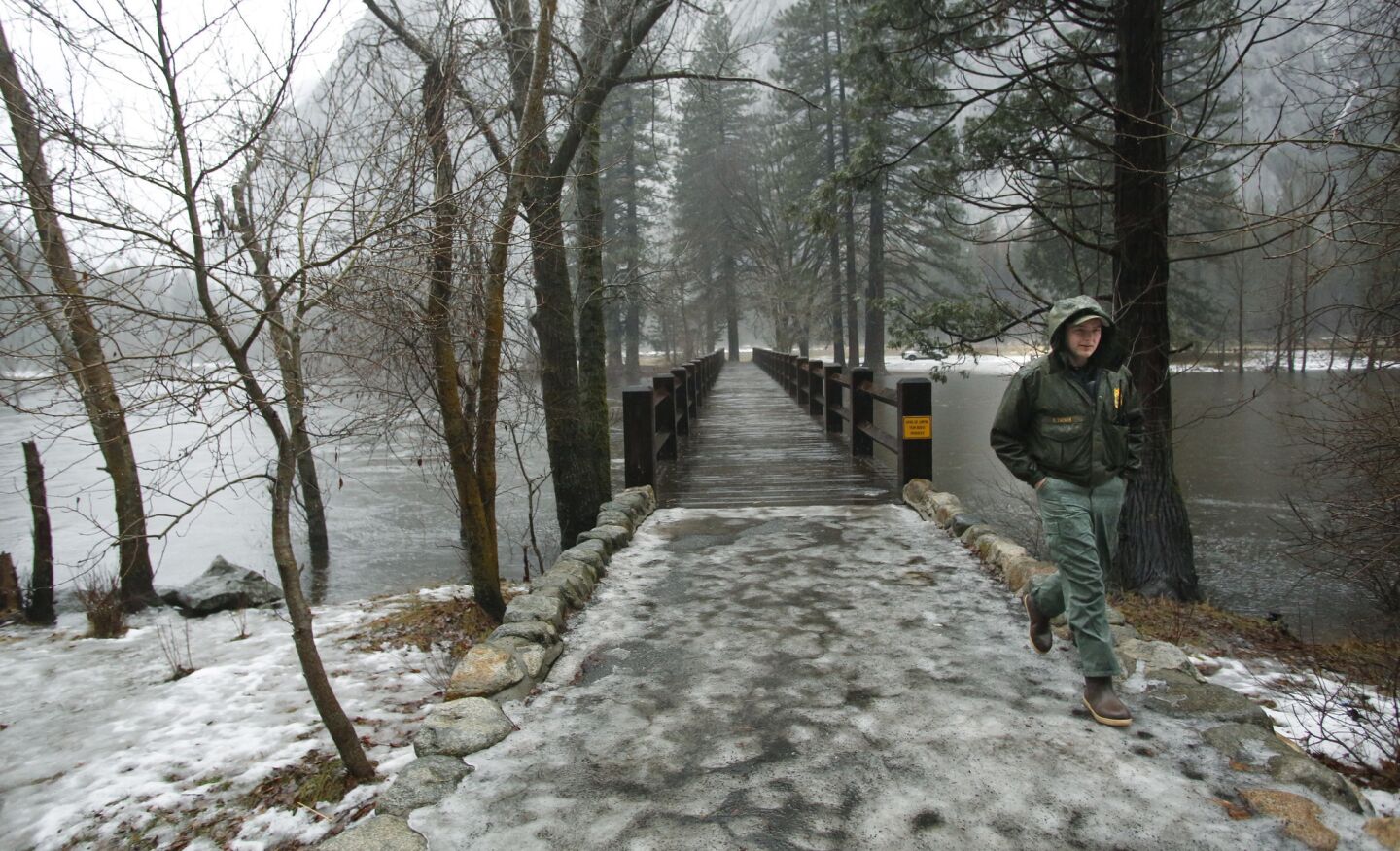 Park Ranger Cullen Tucker walks across a bridge during a rain storm on the Merced River in Yosemite National Park.