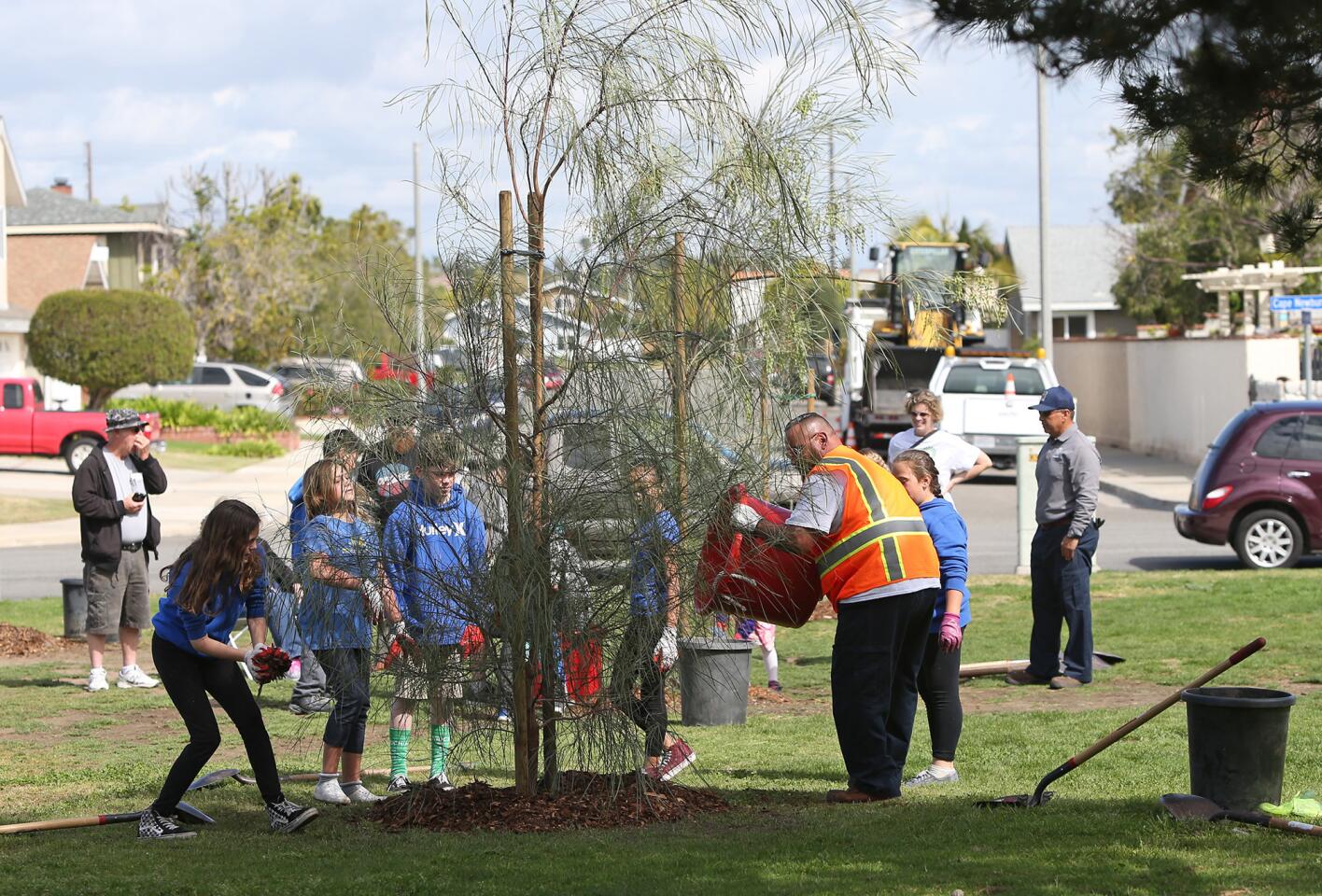 la-arbor-day-tree-planting-ceremony-at-drew-pa-008