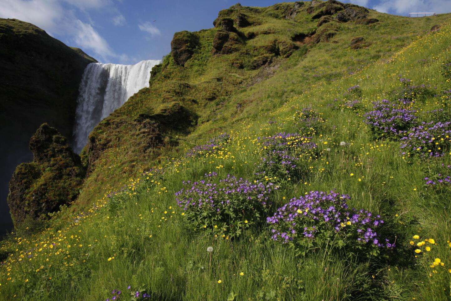 Skogarfoss waterfall, south Iceland